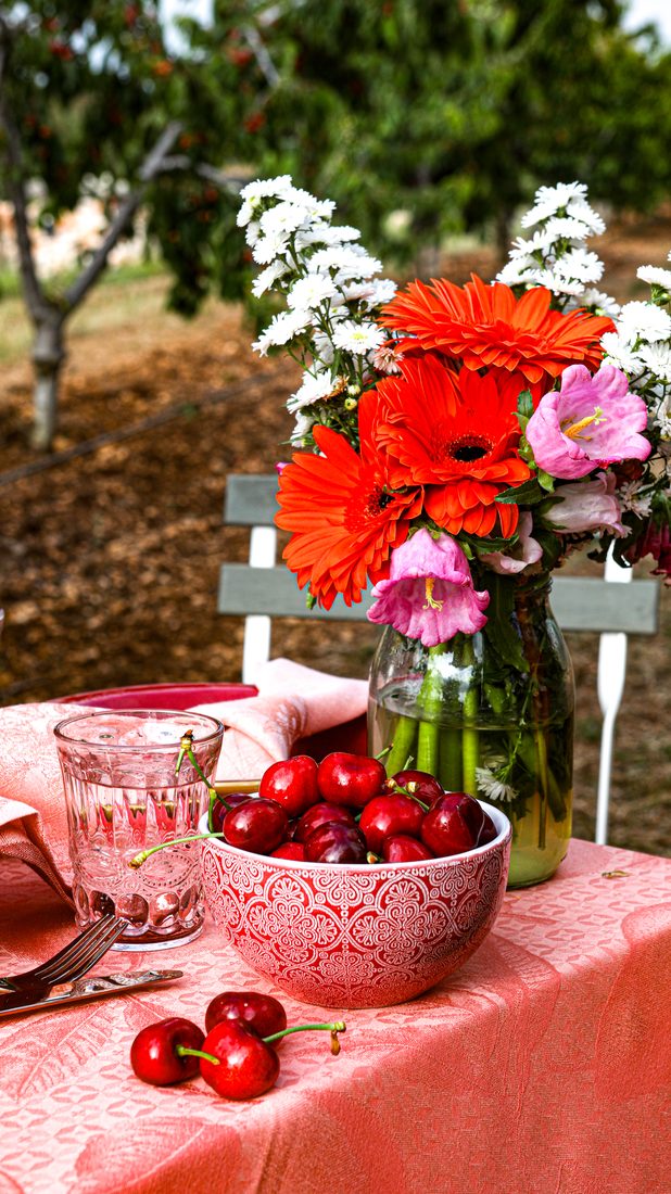 Gedeckter Tisch mit Kirschen und Blumenstrauß zwischen den Kirschbäumen