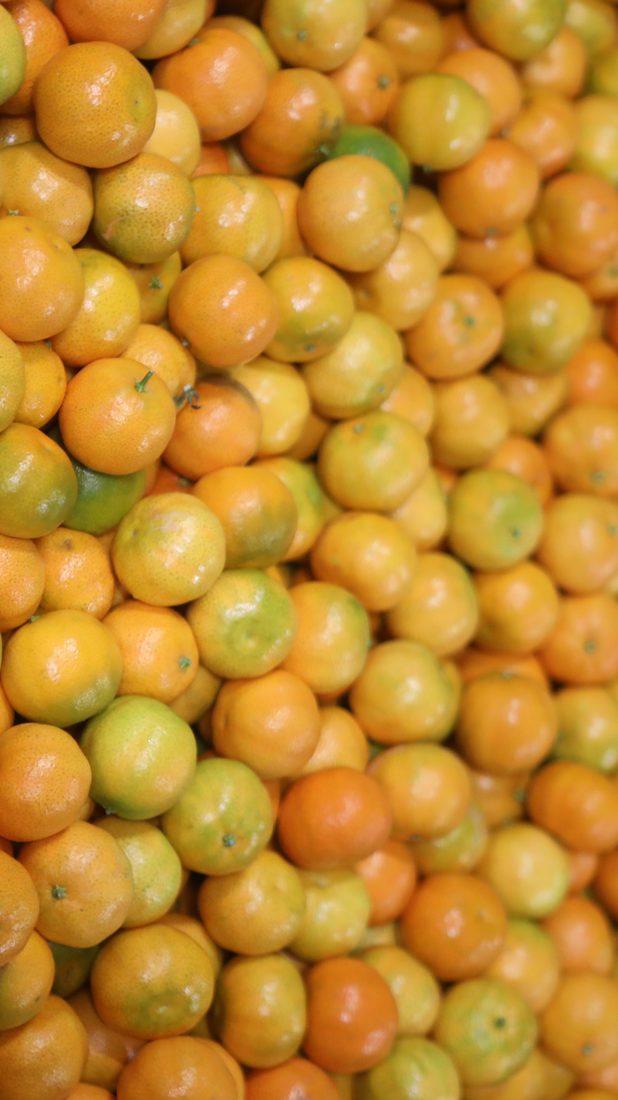Eine Fülle frischer Mandarinen