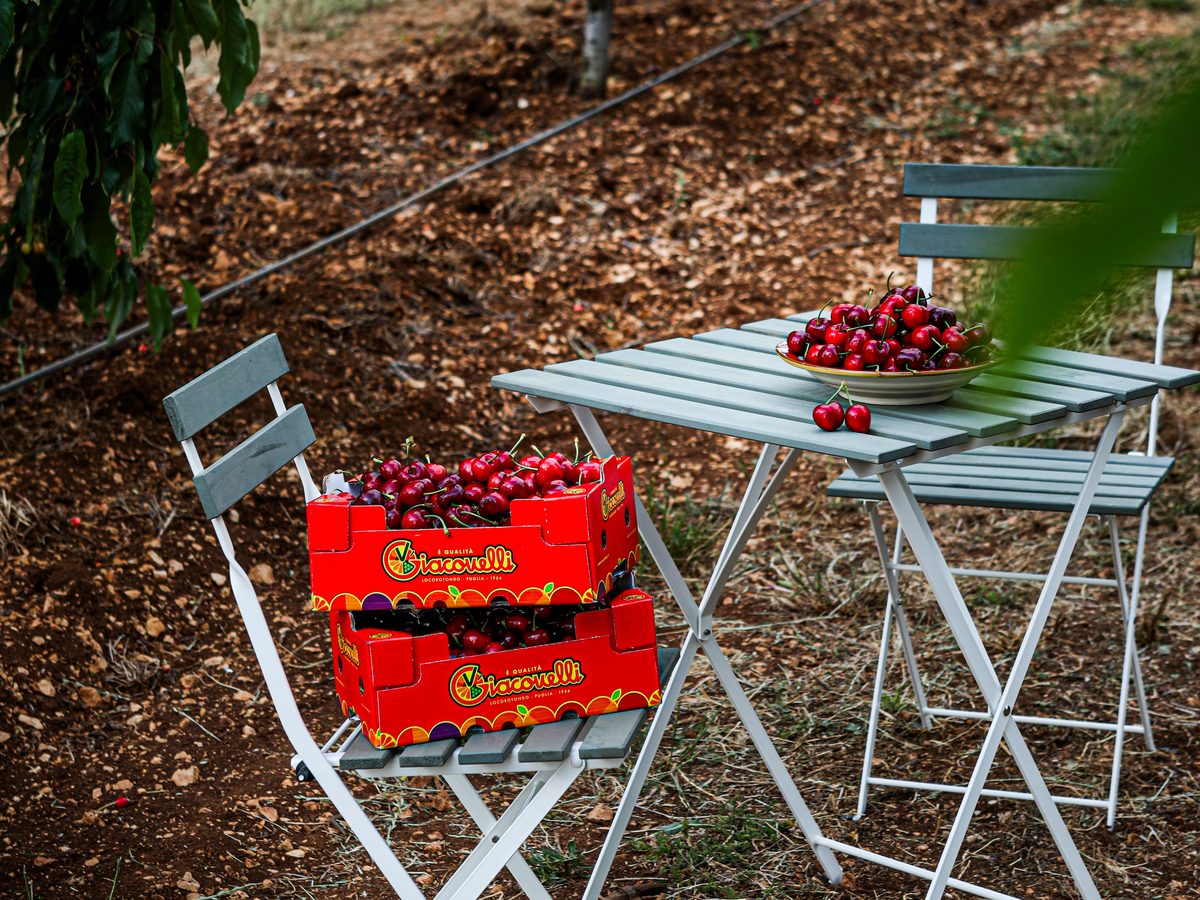 Tisch und Klappstühle mit Kirschen und Giacovelli-Kisten im Kirschgarten