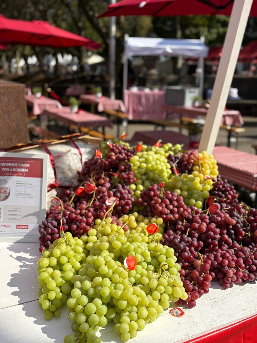 Ein Berg grüner und roter Trauben am Festivalstand