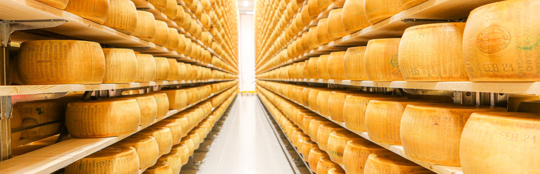 Der Reiferaum des Caseificio Cavola mit Tausenden Parmigiano-Laiben