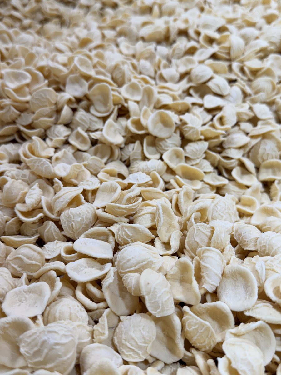 Orecchiette aus der Nähe