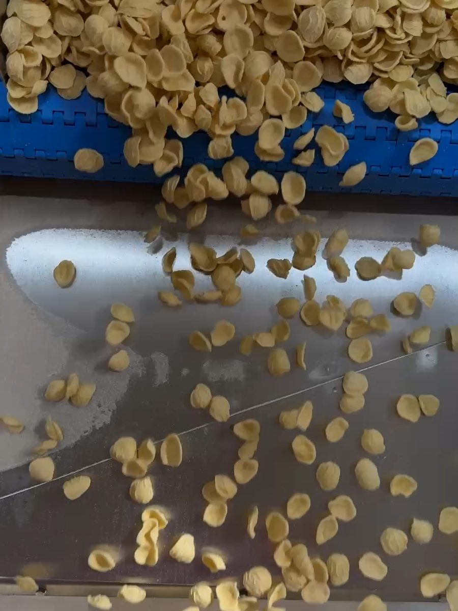 Frische Orecchiette fallen vom Förderband