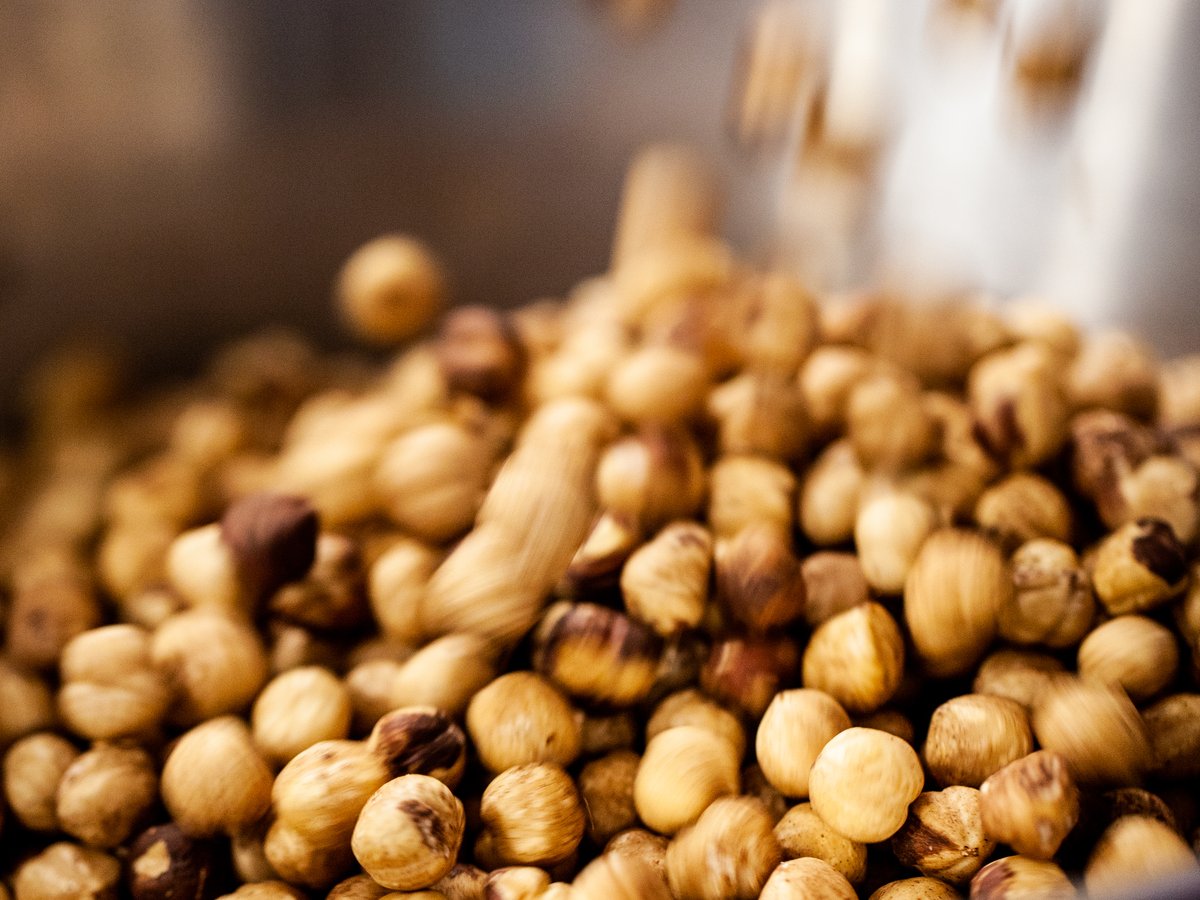 Geröstete Tonda-Gentile-Haselnüsse, die Nocciola Piemontese IGP