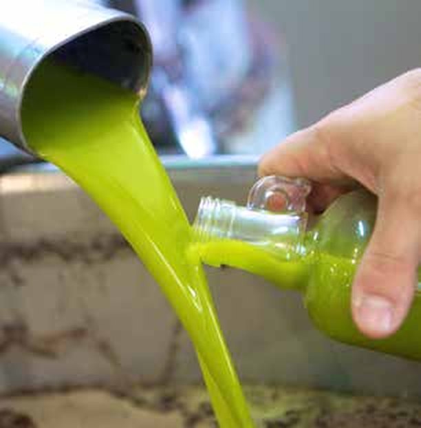 Das frische Öl wird in die Flasche gefüllt