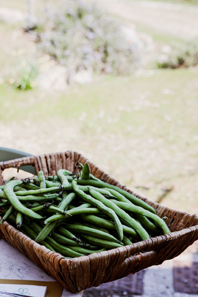 Grüne Bohnen im Korb, frisch aus dem Garten