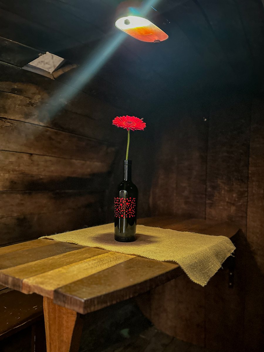 Eine Flasche im Licht des alten Gewölbes