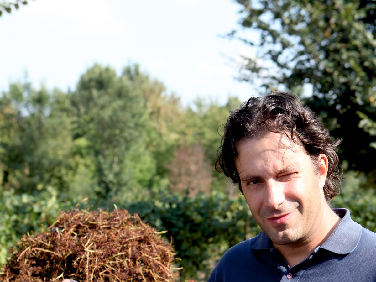 Lorenzo Guerzoni mit getrocknetem Rebenlaub, aus dem die Umkartons entstehen
