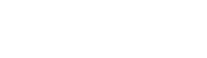 Lettinis